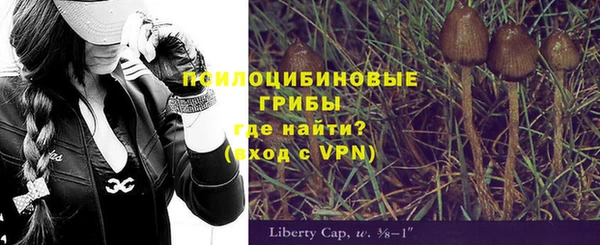 прущие грибы Аркадак