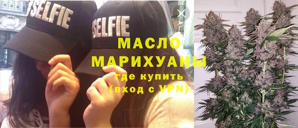 прущие грибы Аркадак