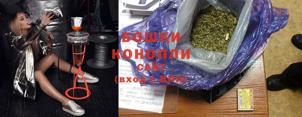 прущие грибы Аркадак